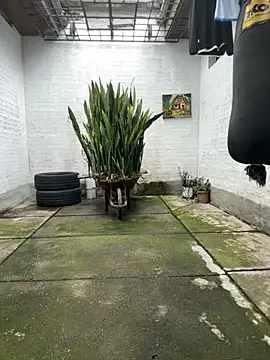 oliver price1 online show from November 16, 2025, 8:03 pm